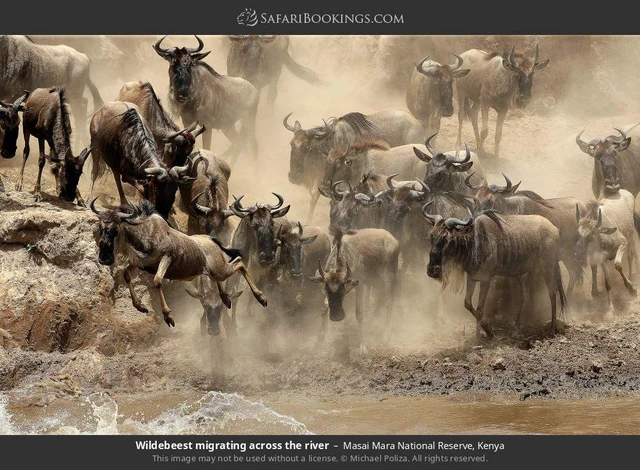 SafariBookings 路线参考影像