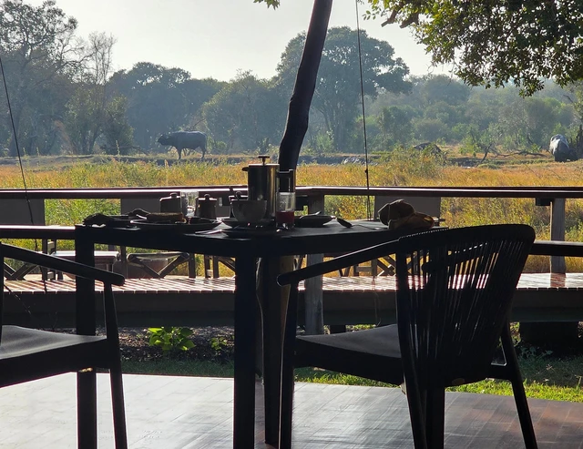 Tambarare Camp, an A&K Sanctuary · 餐厅与用餐环境