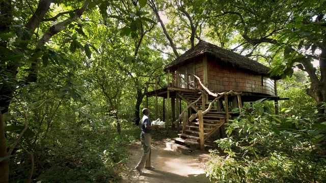 &Beyond Lake Manyara Tree Lodge · 外观与环境