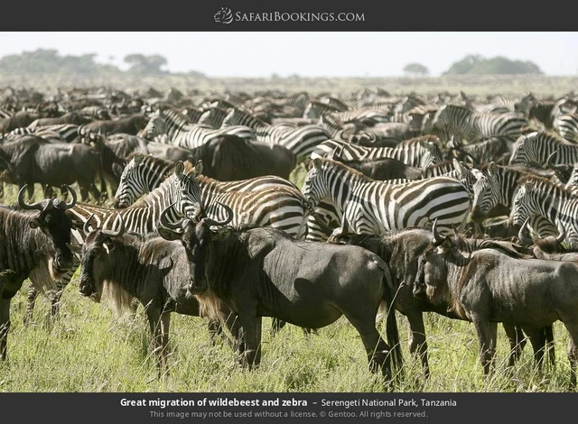 SafariBookings 路线参考影像