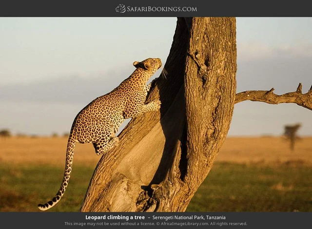 SafariBookings 路线参考影像