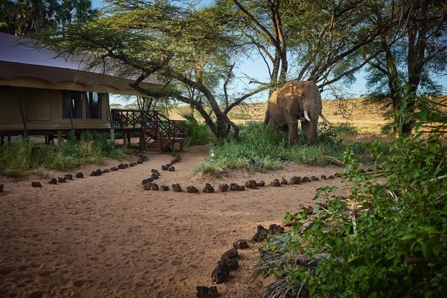 Elephant Bedroom Camp · 外观与环境