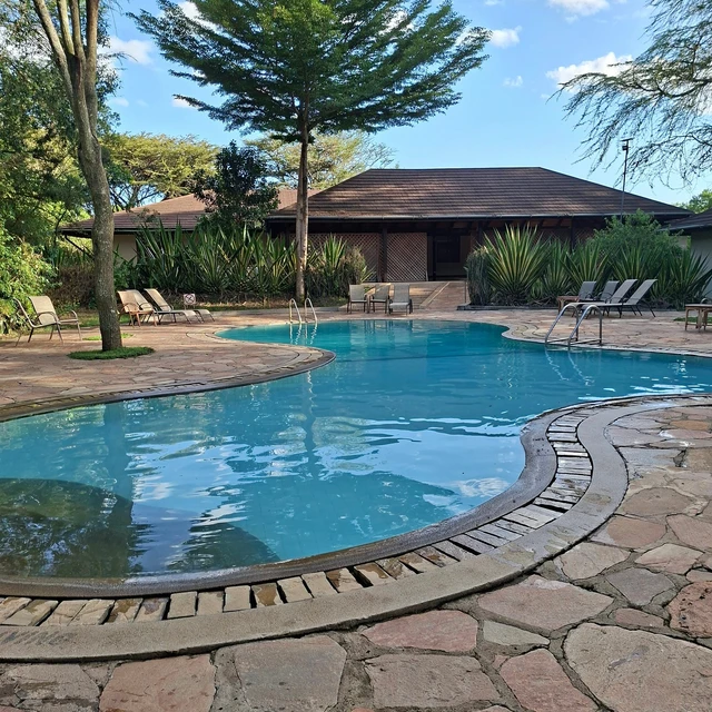 Mara Simba Lodge · 泳池