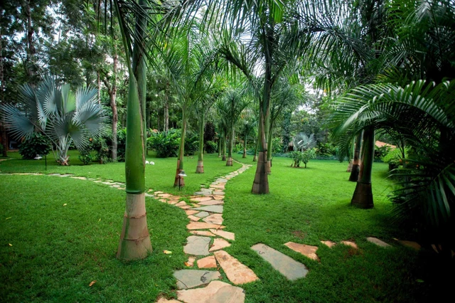 Mtoni River Lodge · 住宿环境