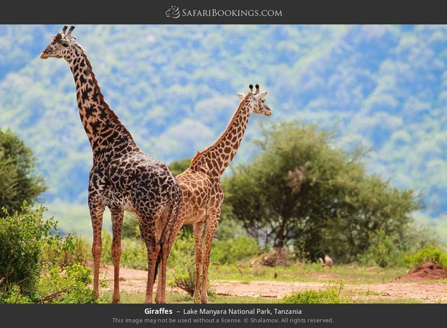 SafariBookings 路线参考影像