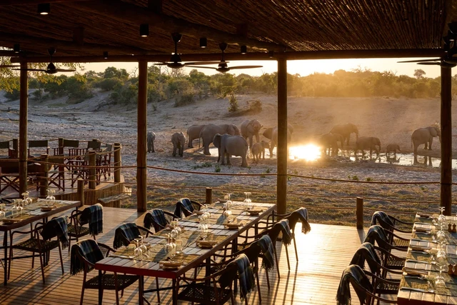Savute Safari Lodge · 餐厅与用餐环境