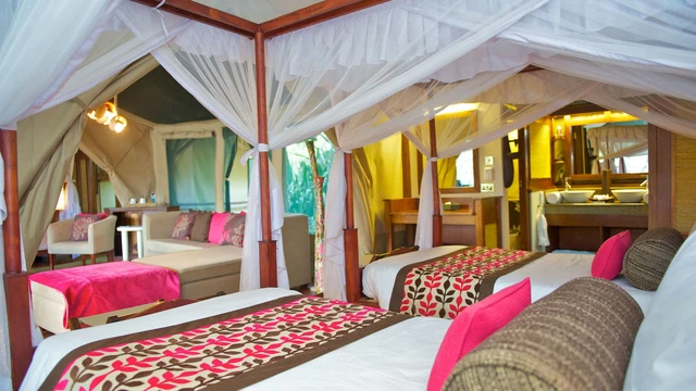 Samburu Intrepids Tented Camp · 客房