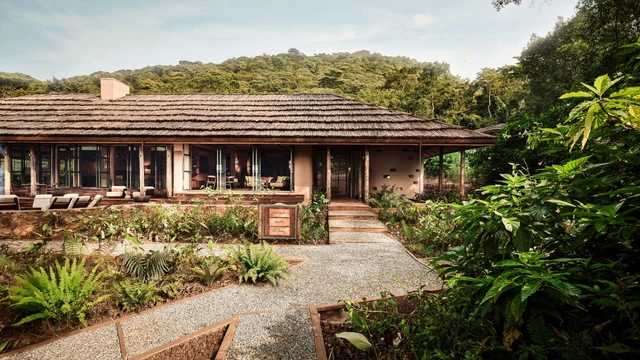 Sanctuary Gorilla Forest Camp · 外观与环境