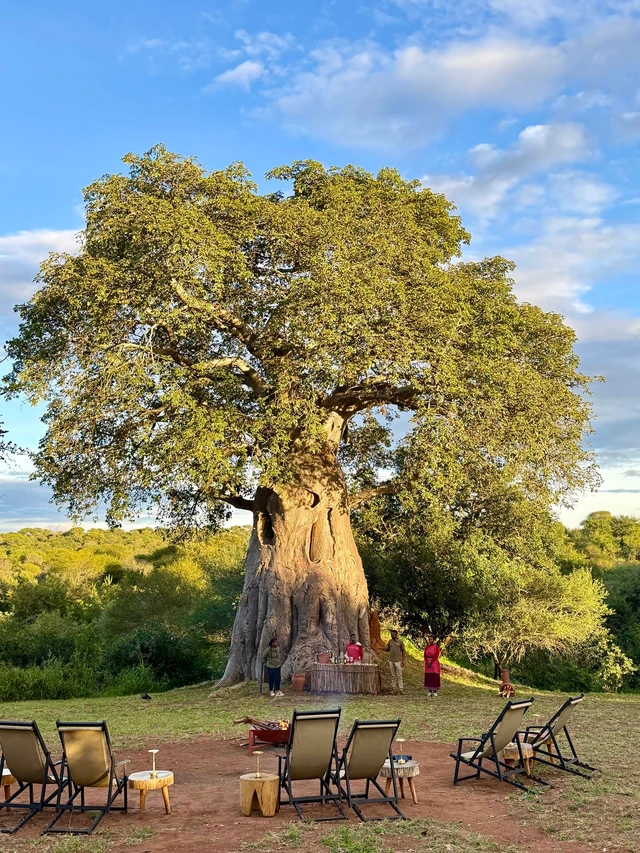 The Whisper Tarangire Camp · 酒吧