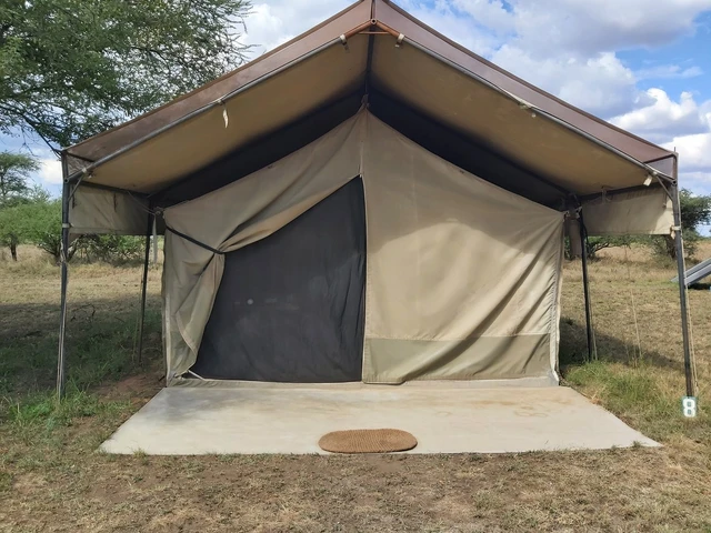 ThornTree Camp · 外观与环境