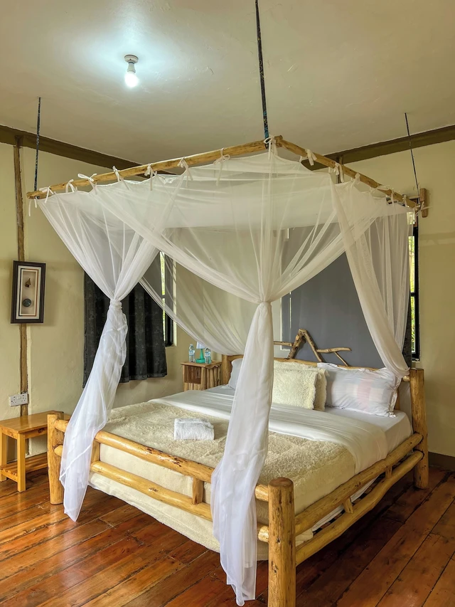 Gorilla Bluff Lodge · 客房