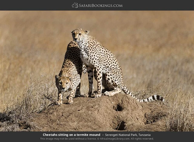 SafariBookings 路线参考影像