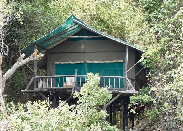 Tintswalo Siankaba Camp · 外观与环境